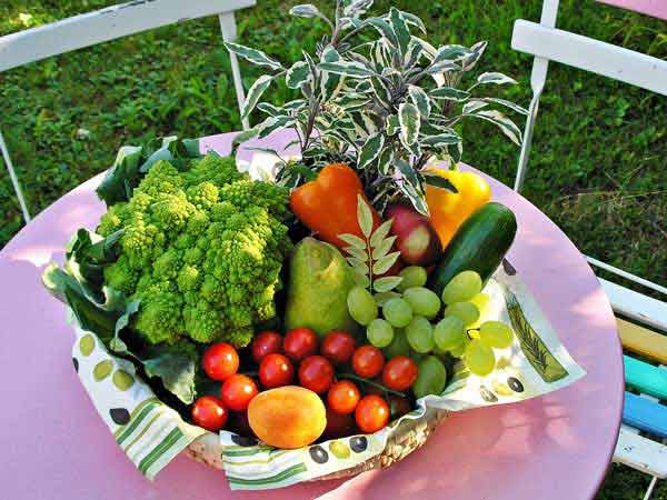 Vegetable Farm