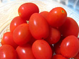 tomatoes