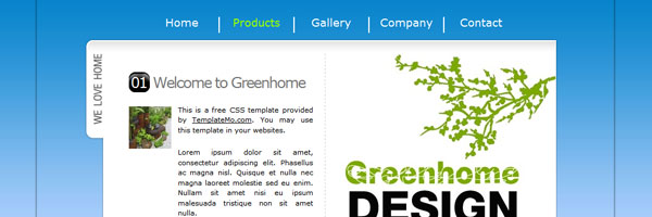 Website Template 02